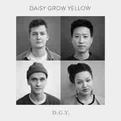 DGY 2020 Daisy Grow Yellow sw